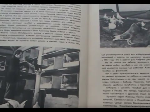 Голубеводство 1958 год, просмотр и беглое чтение книги.