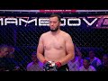 Узбекская хайлайт-машина зрелищно нокаутировал! Шохасан Мирзаматов vs Махир Мамедов