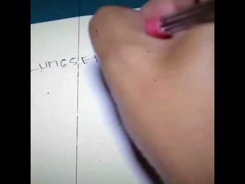 Lunset bajakan
