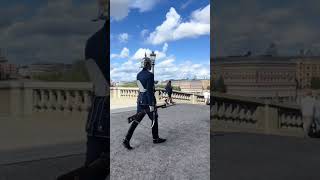 Just a glimpse of the north…🎀 #travelvlog #scandinavia #explore #travelshorts #fypシ #aesthetic