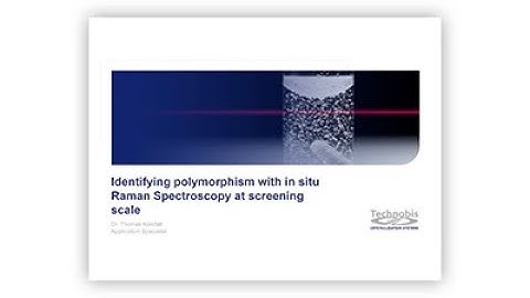 Identifying polymorphism with in situRaman Spectroscopy at screeningscale