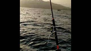 Curricán Bonitos - Sierras en Fuerteventura