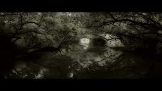 謝銘祐 舊年｜桃花過渡 三川娛樂【 Official MV】