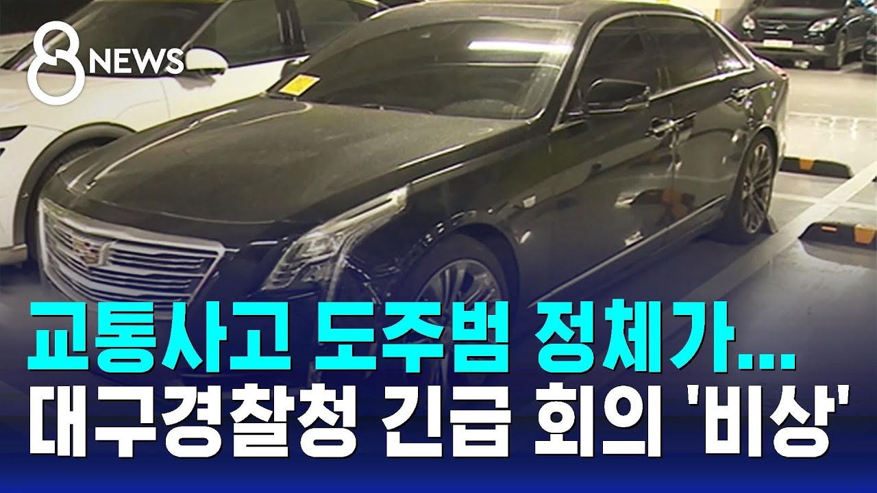 교통사고 도주범 정체가...대구경찰청 긴급 회의 '비상' / SBS 8뉴스