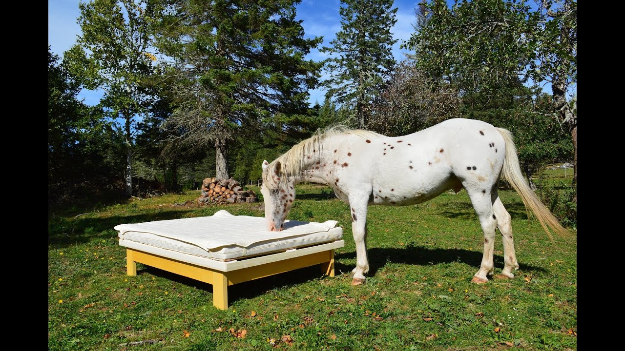 Swiss Dream Beds Balancer Das Original Bed Explained YouTube