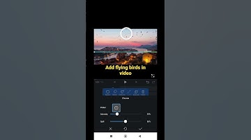 how to add flying birds in video