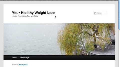 Video 4 Permalinks Settings