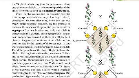 Principles of Inheritance and Variation| Chapter- 5 Class-12 Biology Audiobook | NCERT line by line