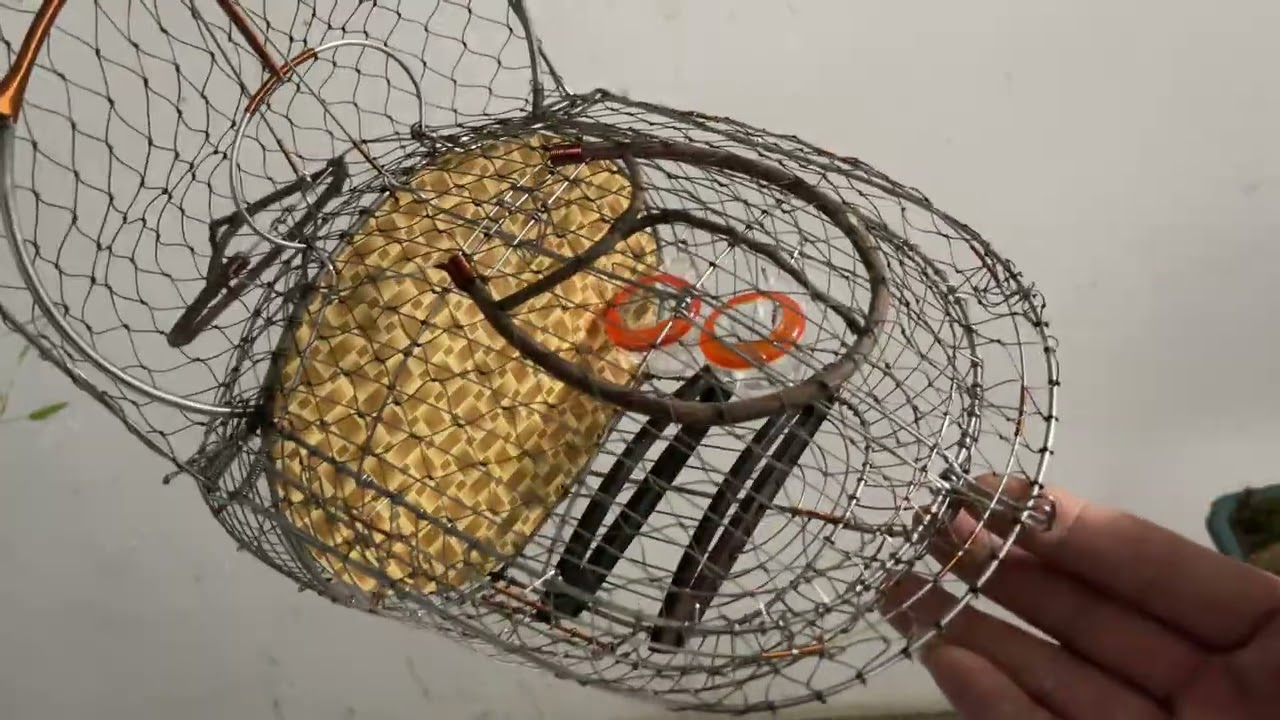 Lụp bẫy ốc mít, hút mật, khuyên,sâu 2 ngăn full inox hàng kỹ ( 0964741495)