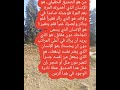 من هو الصديق الحقيقي