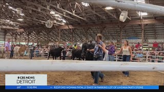 4-H and Youth Fair brings agriculture education to St. Clair County