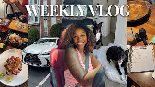 Vlog | Dog Grooming, Photoshoot, A New Car?