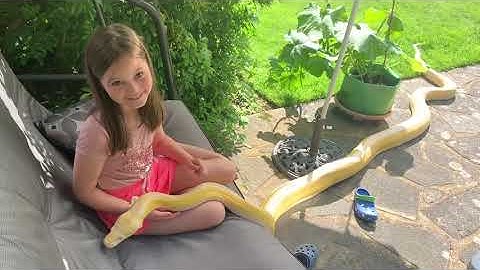 Reticulated Python and my daughter relaxing on the swing seat.