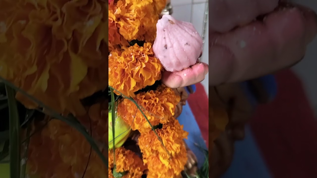 Hindison Motivation Dailyvlog Lifeisbutadream Hindisbollywood Tereliyehumhaijiye Song Love - Hindi Status Tube