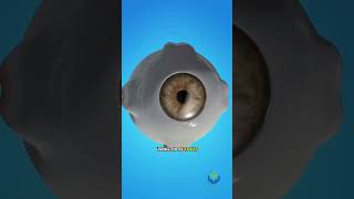 Vitrectomy Eye Surgery 3D Animation #subscribe #doctor #vitectomysurgical #surgical #hospital