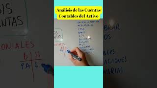 Análisis de las Cuentas Contables del Activo