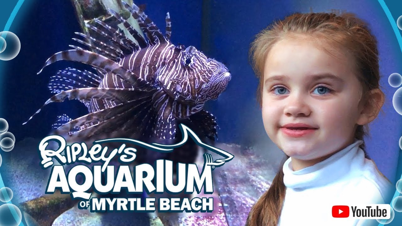 RIPLEY’S AQUARIUM / BROADWAY AT THE BEACH / MYRTLE BEACH / SOUTH CAROLINA