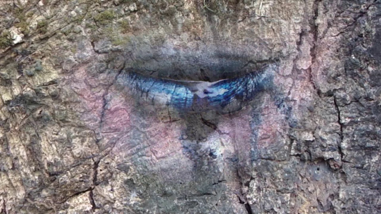 VFX of the I can sure move production