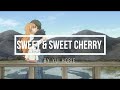 Sweet &amp; Sweet Cherry By Yui Horie - Ending 1 Golden Time