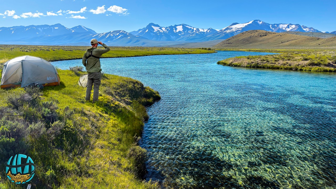 Fly Fishing and Camping Montana for the First Time... This Place is INCREDIBLE!