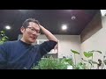 ガチの園芸part45