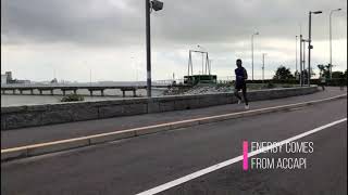 Accapi Vincent Hoi New V2