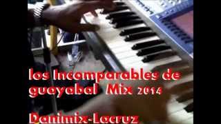 Los incomprables de Guayabal Mix 2014  Danimix - Lacruz del perdon guarico calabozo