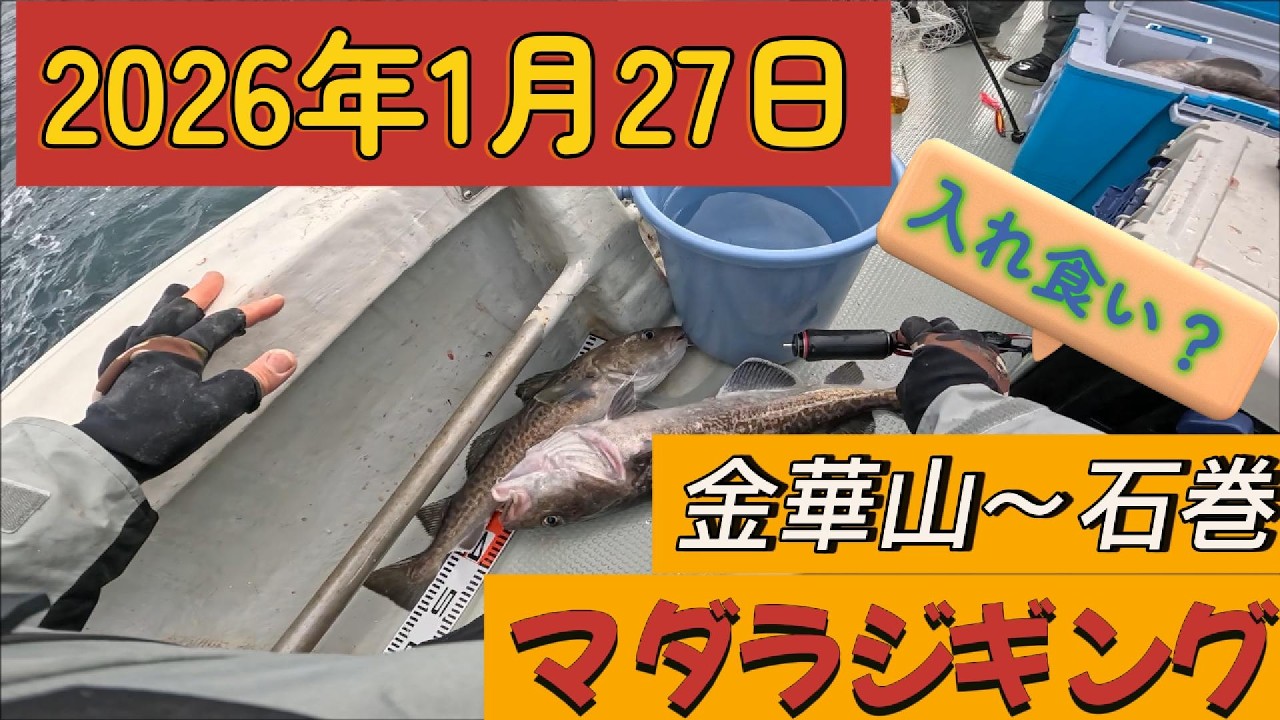 【石巻タラジギング2026年1月27日】絶好調のはず…非モテ、今日は釣れるよね？？