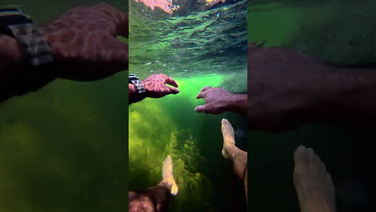 Diving in a Waterfall | POV Nature Experience