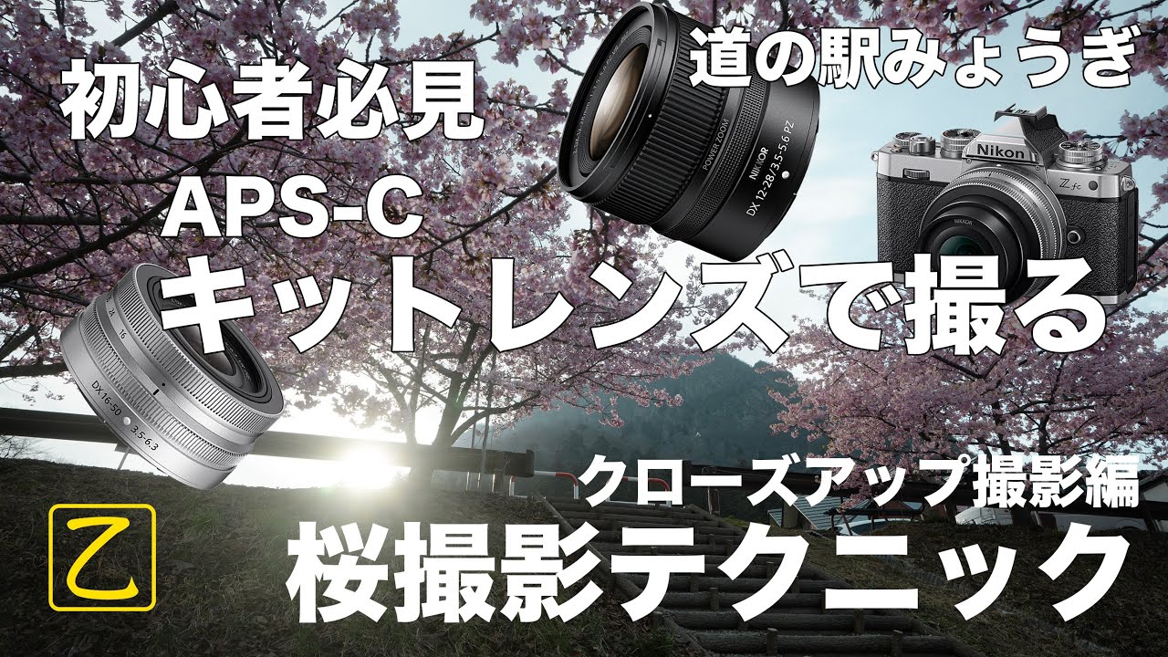 【低ショット美品】Nikon D3100 一眼レフ カメラ 桜 撮影 入学式 低ショット美品】Nikon D3100 一眼レフ カメラ 桜 撮影 入学式 【公式