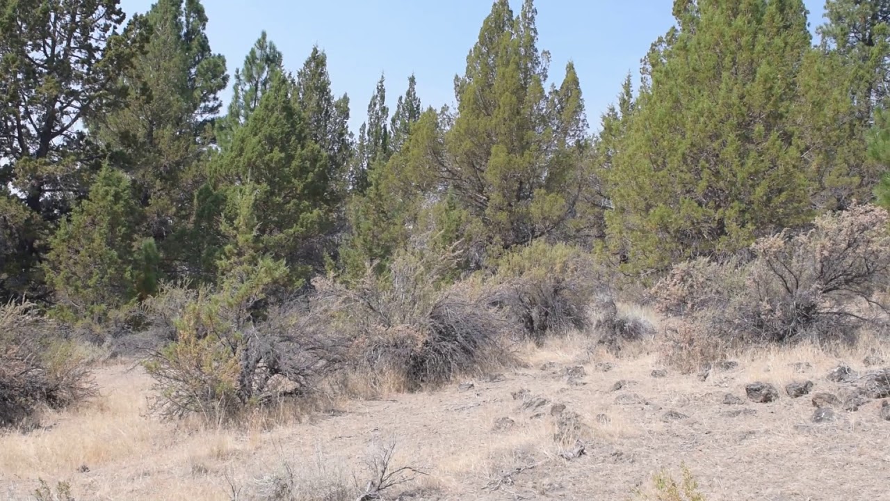 1.47 acres in Klamath County Oregon