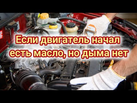 Видео на YouTube