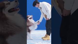 Dogs Can Sense His Kindness And Always Calm When Hes There 王一博