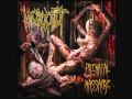 Necrocest - Prenatal Massacre