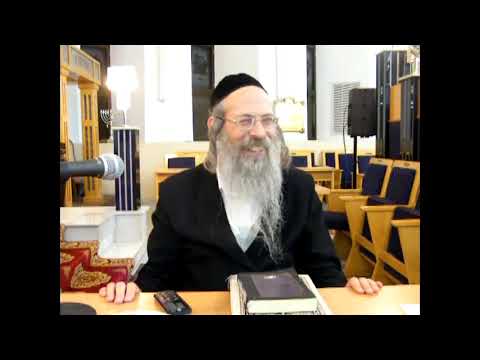 הרב אליהו גודלבסקי | שלח - י - סיכום