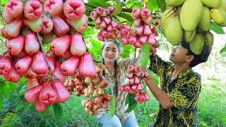 Pick rose apply fry chicken, Saku root cooking, pick mango to eat with grilled fish  Sros cooking