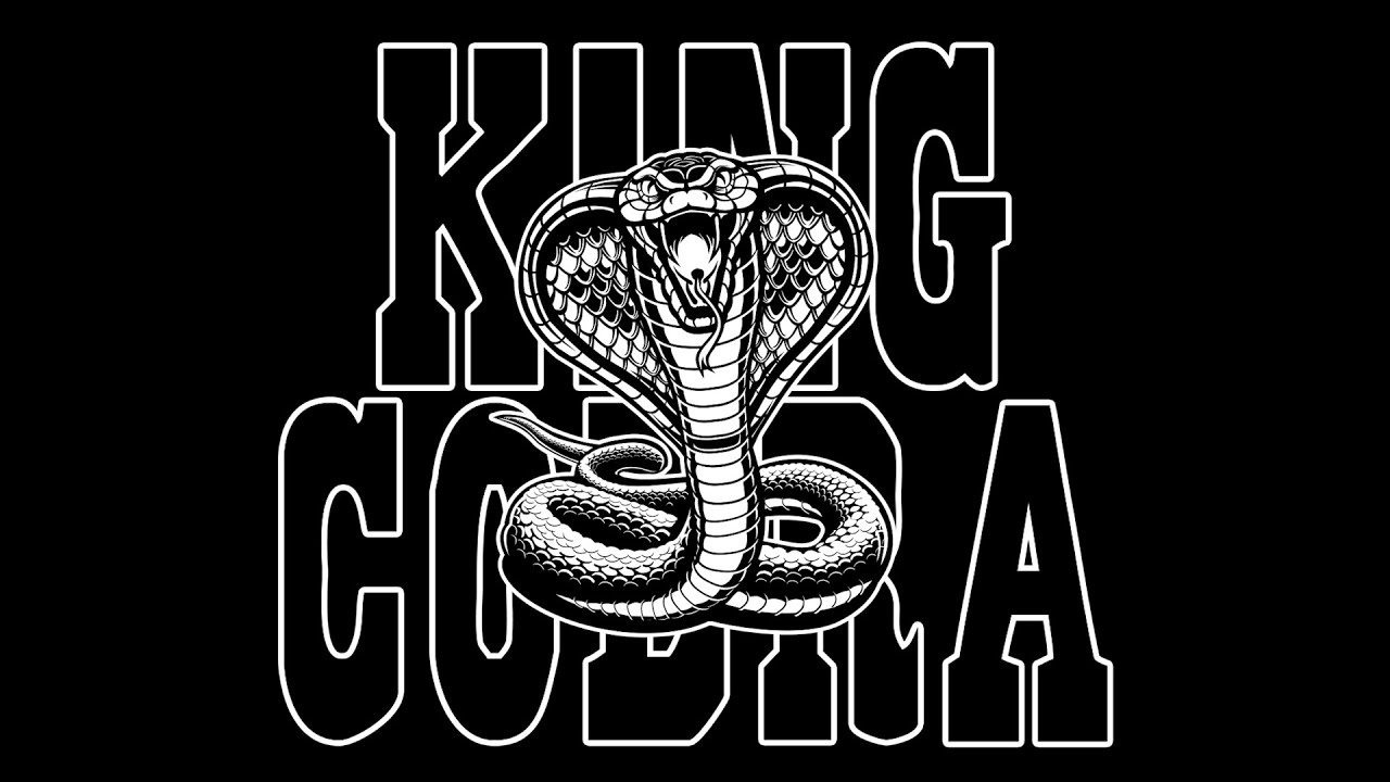 King Cobra (จงอางผยอง)