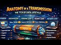 Anatomy of a Transmission|Mapping the TCP/IP Data Lifecycle|Computer Network|Naman Bharti Classes 