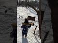 Всем прекрасного настроения