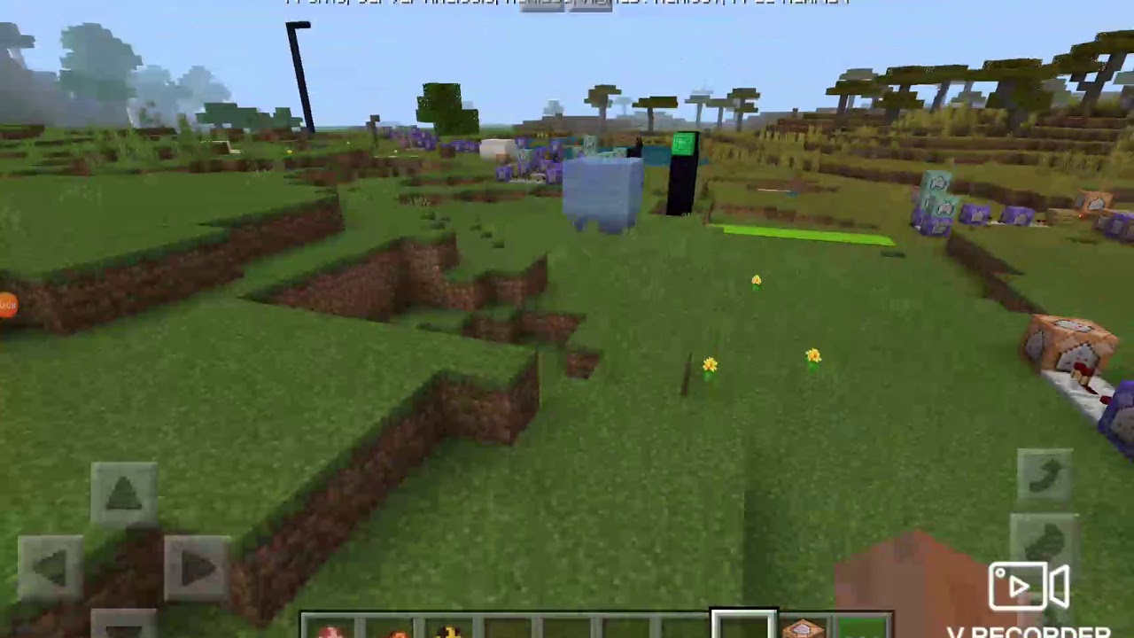 How to ride bee in minecraft - YouTube