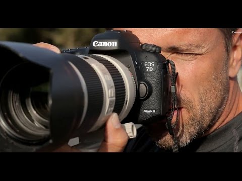 What Canon Camera Ambassadors