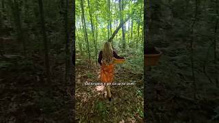 Forests at risk! Public comments close September 21st. Make your comment link in my bio. @NRDCflix News