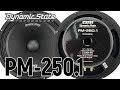 Dynamic State PM-250.1 PRO Series обзор, сравнение, прослушка с рупорам, с серединами, отзыв