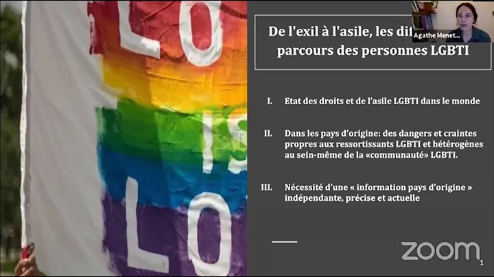 Visio-conférence | De l'exil à l'asile, les difficultés de parcours des personnes LGBTI