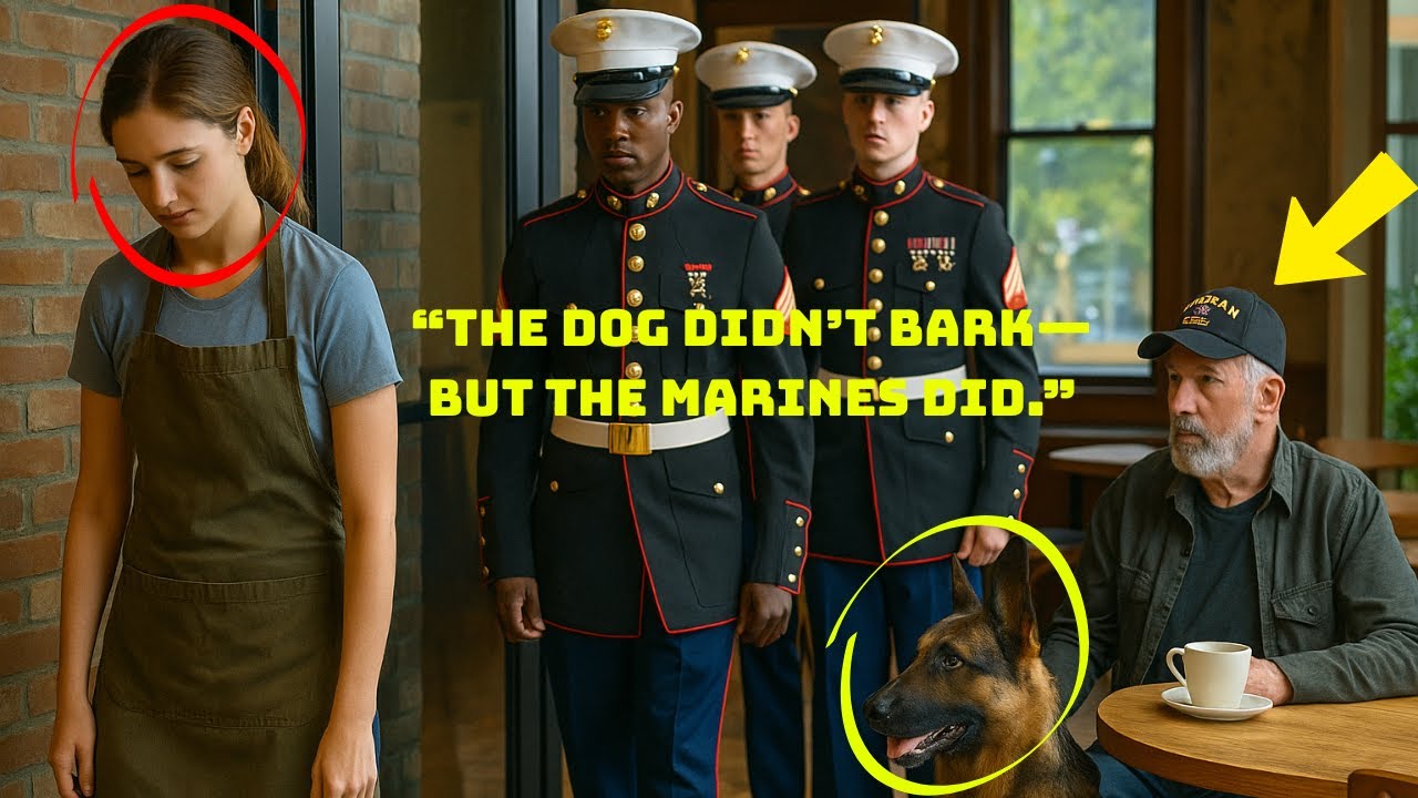 She Got Fired for Helping a Veteran’s Dog—Minutes Later, Marines Took Over the Café