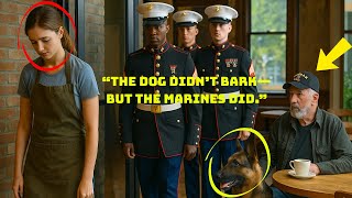 She Got Fired for Helping a Veteran’s Dog—Minutes Later, Marines Took Over the Café Guide
