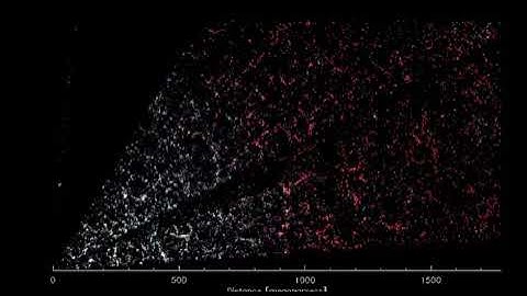 The Most Detailed 3D Map Of The Universe To Date