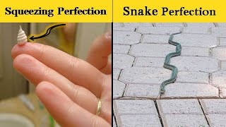 The Work by Perfectionists That can Satisfy your Soul Wealth