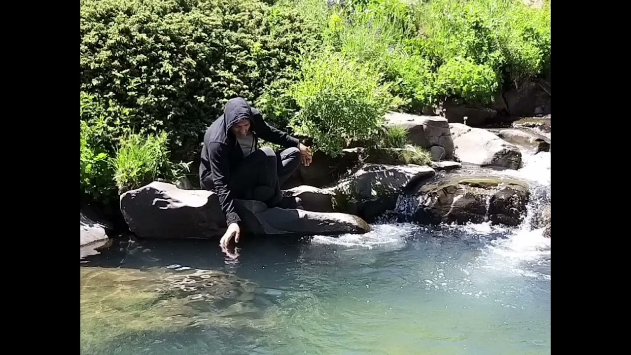 Bingöl adaklı elmadüzü feruz