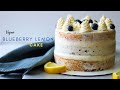 Blueberry Lemon Cake (VEGAN)